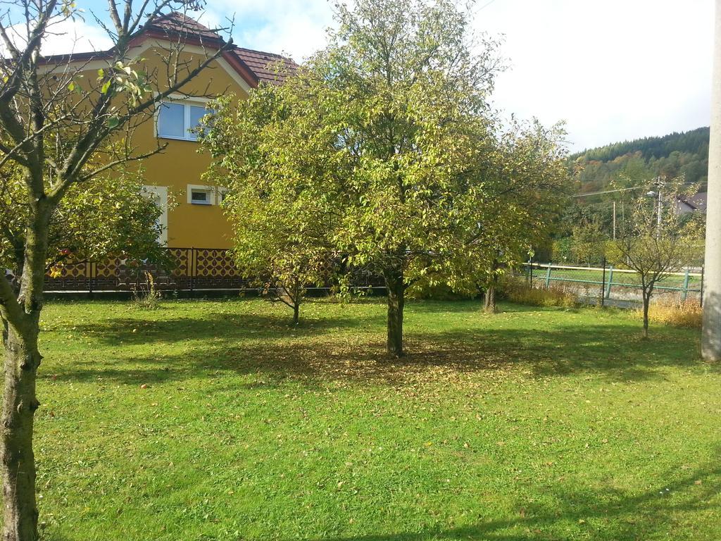 Apartment Petra Lipová-lázně Pokoj fotografie